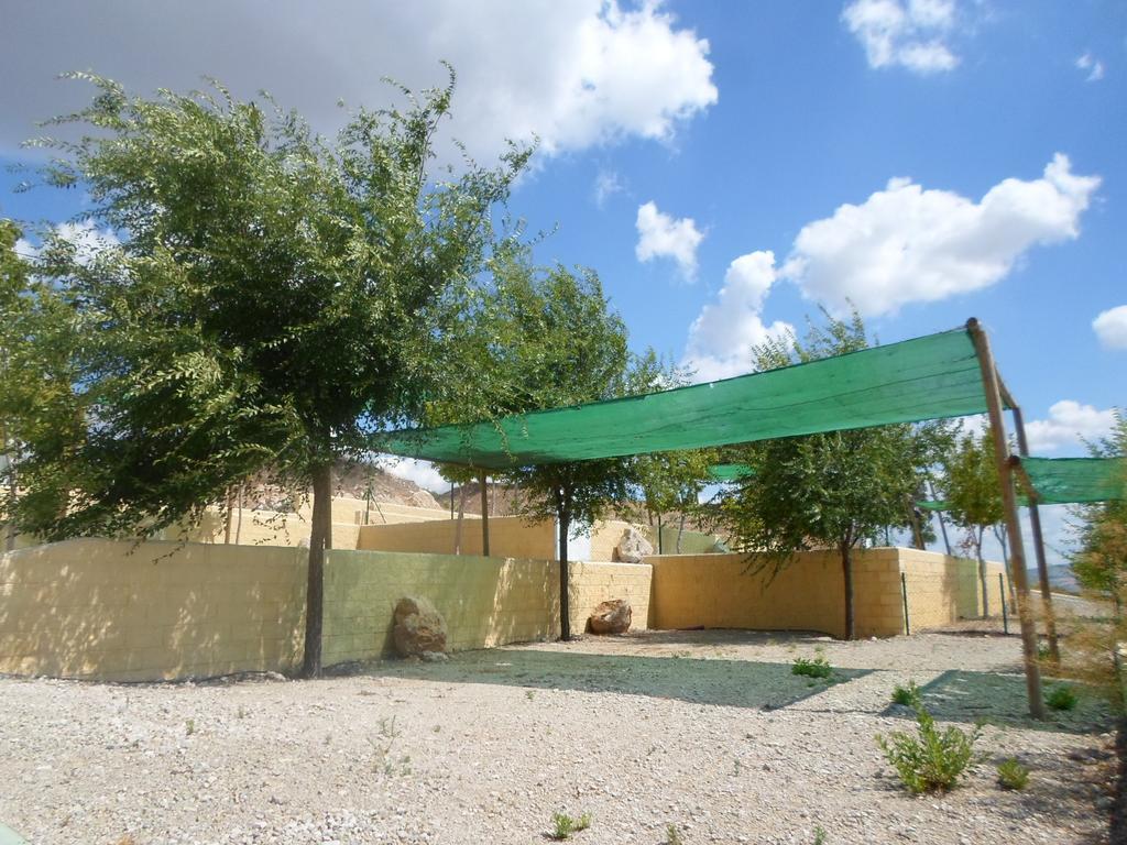 ホテル Complejo Pueblo Blanco オルベラ エクステリア 写真