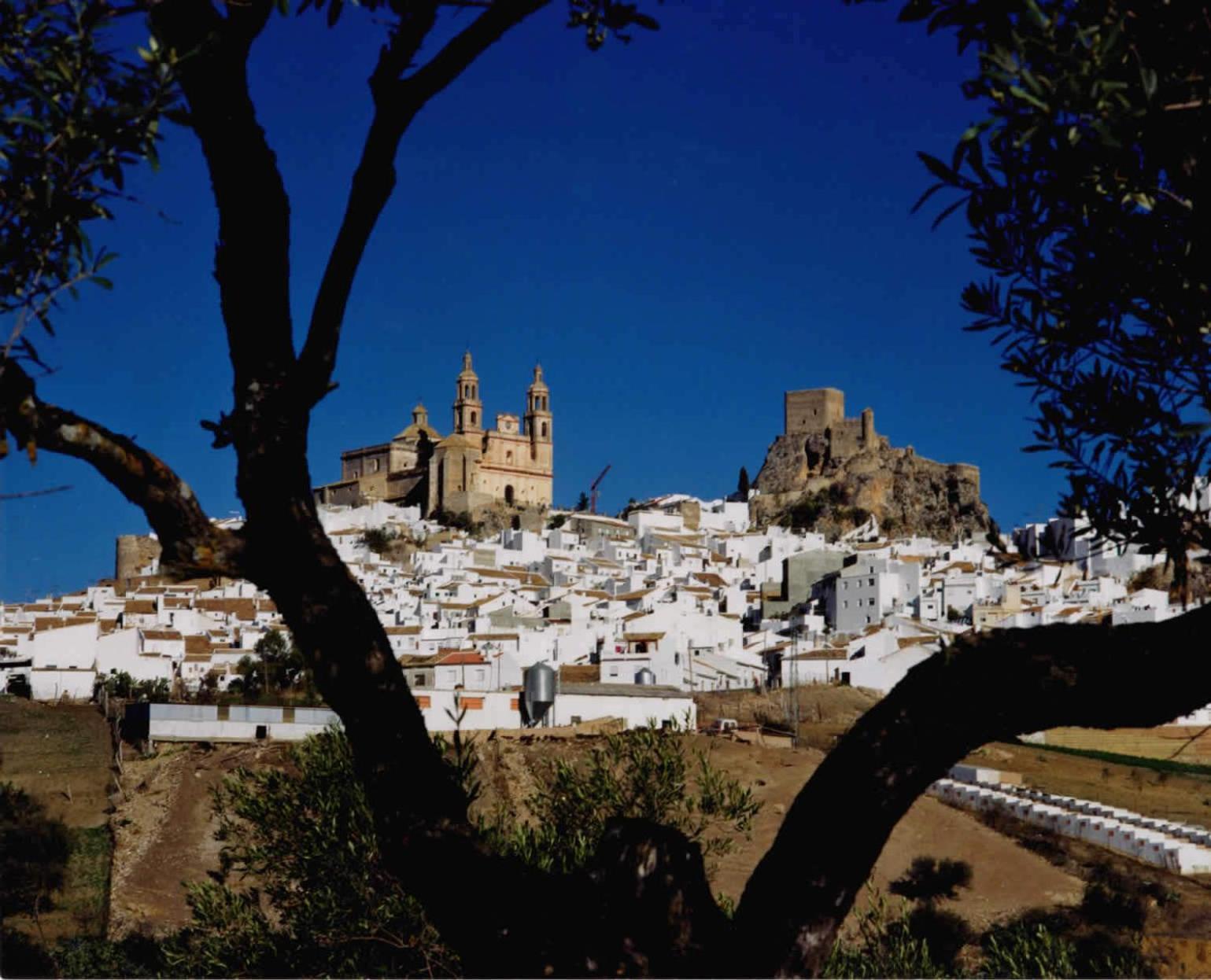 ホテル Complejo Pueblo Blanco オルベラ エクステリア 写真