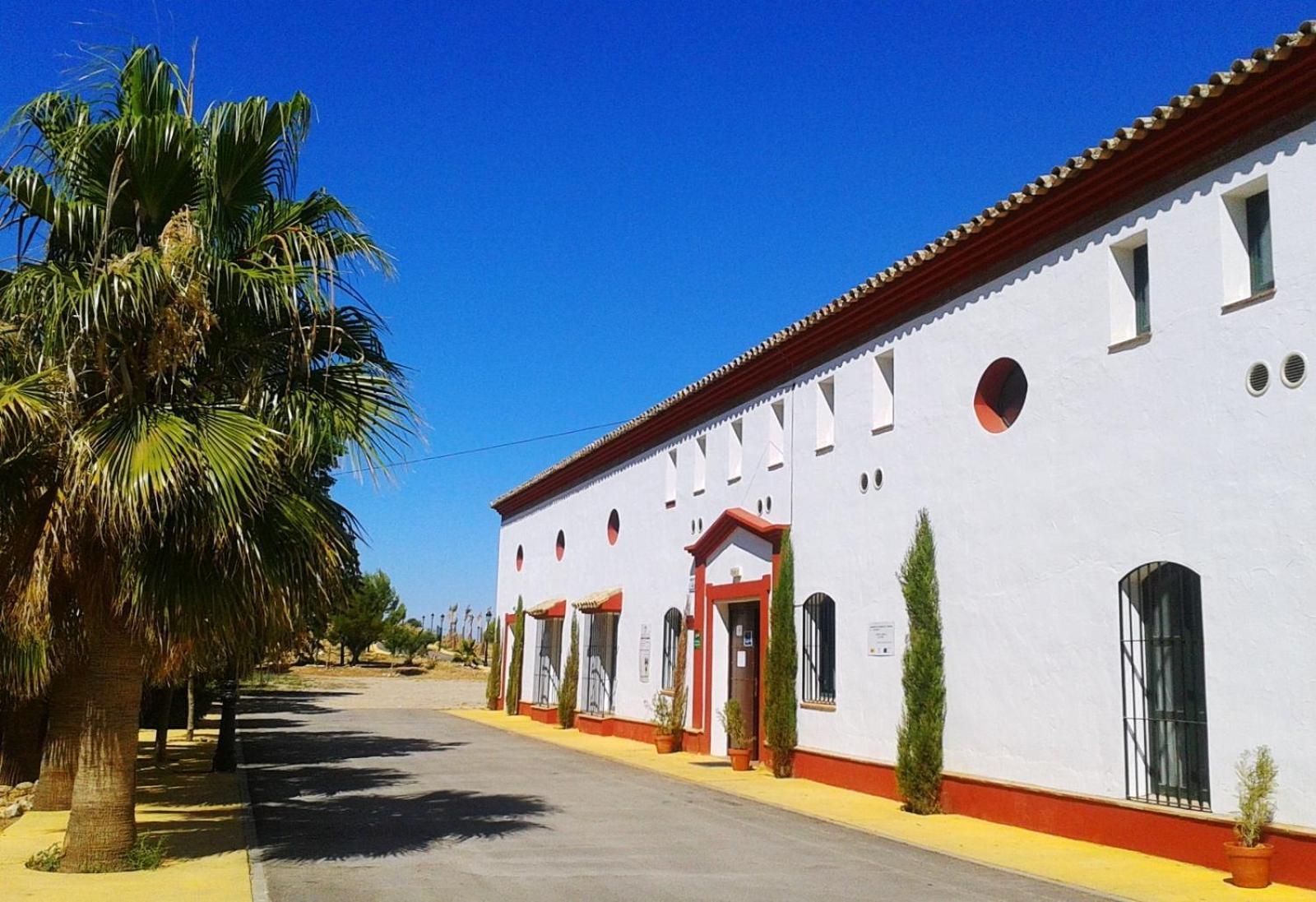 ホテル Complejo Pueblo Blanco オルベラ エクステリア 写真